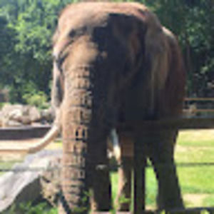 Meet your Posher, Derek